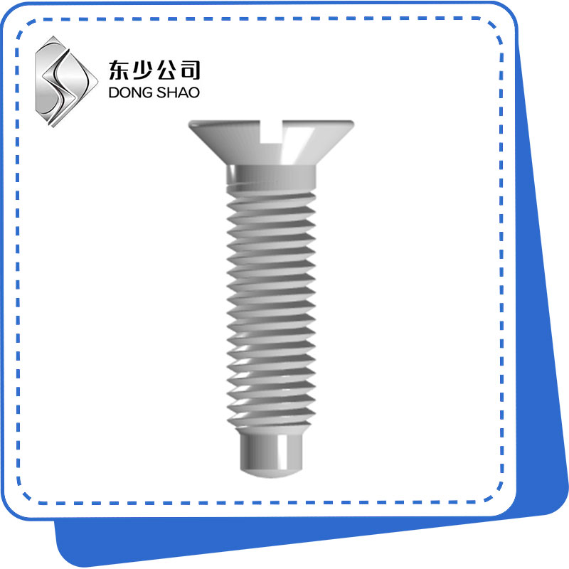 Slotted Countersunk Head Screws ine Full Dog Point